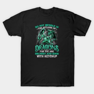 Do Not Meddle In The Affairs of Dragons Book T-Shirt